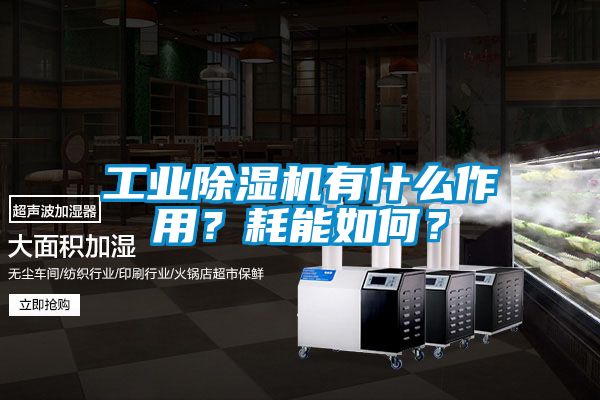 工業(yè)除濕機(jī)有什么作用？耗能如何？