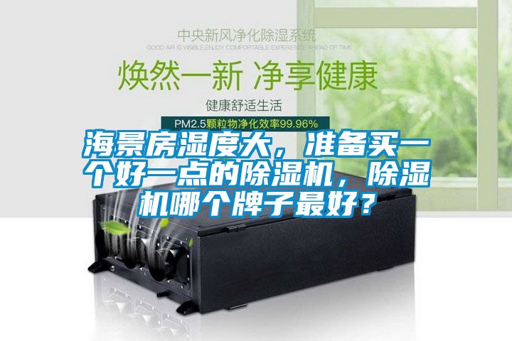 海景房濕度大，準備買一個好一點的除濕機，除濕機哪個牌子最好？