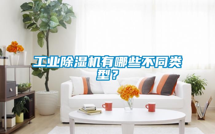 工業(yè)除濕機有哪些不同類型？