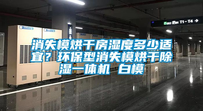 消失模烘干房濕度多少適宜？環(huán)保型消失模烘干除濕一體機(jī) 白模