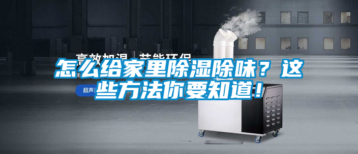 怎么給家里除濕除味？這些方法你要知道！