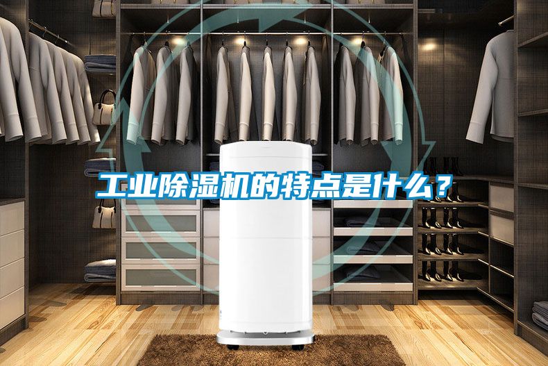 工業(yè)除濕機(jī)的特點(diǎn)是什么？