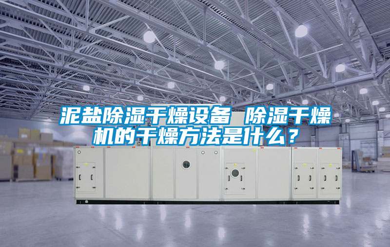 泥鹽除濕干燥設(shè)備 除濕干燥機(jī)的干燥方法是什么？