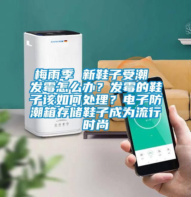 梅雨季 新鞋子受潮 發(fā)霉怎么辦？發(fā)霉的鞋子該如何處理？電子防潮箱存儲鞋子成為流行時尚