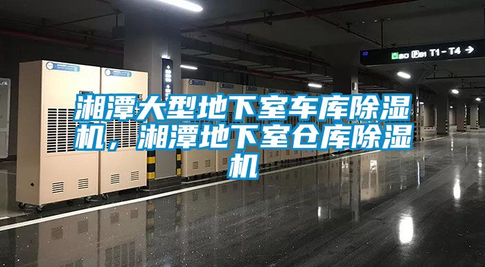 湘潭大型地下室車庫除濕機(jī)，湘潭地下室倉庫除濕機(jī)