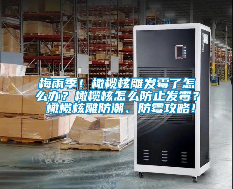 梅雨季！橄欖核雕發(fā)霉了怎么辦？橄欖核怎么防止發(fā)霉？ 橄欖核雕防潮、防霉攻略！