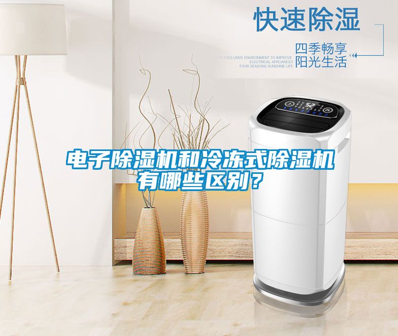 電子除濕機(jī)和冷凍式除濕機(jī)有哪些區(qū)別？