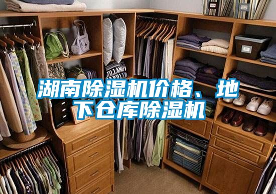 湖南除濕機(jī)價(jià)格、地下倉庫除濕機(jī)