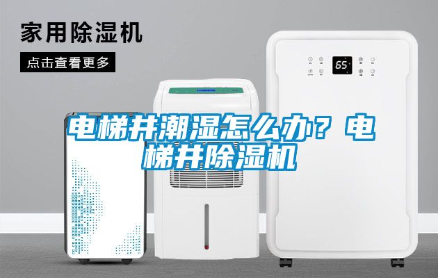 電梯井潮濕怎么辦？電梯井除濕機(jī)