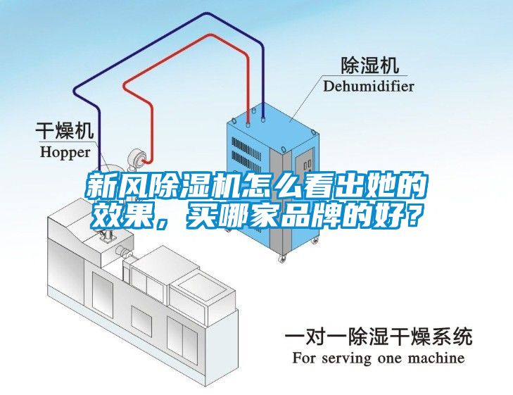 新風除濕機怎么看出她的效果，買哪家品牌的好？