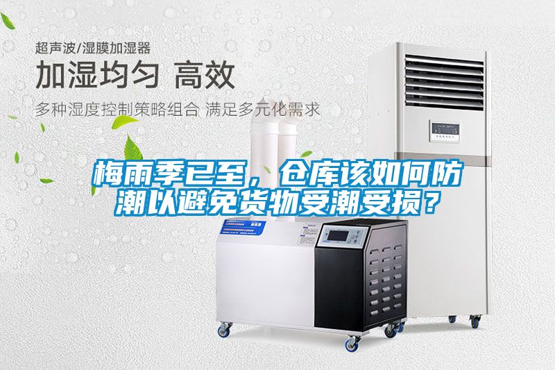 梅雨季已至，倉(cāng)庫(kù)該如何防潮以避免貨物受潮受損？