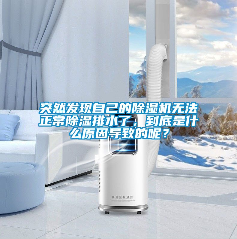 突然發(fā)現(xiàn)自己的除濕機無法正常除濕排水了，到底是什么原因?qū)е碌哪兀?/></p>
						    <p style=