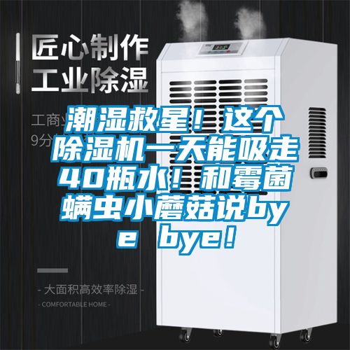 潮濕救星！這個(gè)除濕機(jī)一天能吸走40瓶水！和霉菌螨蟲小蘑菇說bye bye！