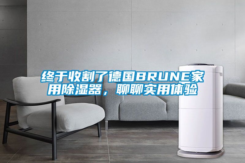 終于收割了德國BRUNE家用除濕器，聊聊實(shí)用體驗(yàn)