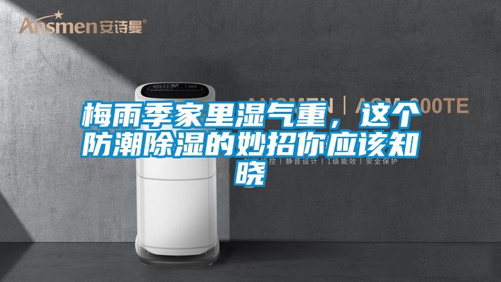 梅雨季家里濕氣重，這個防潮除濕的妙招你應該知曉