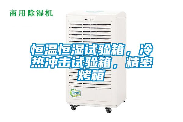 恒溫恒濕試驗(yàn)箱，冷熱沖擊試驗(yàn)箱，精密烤箱