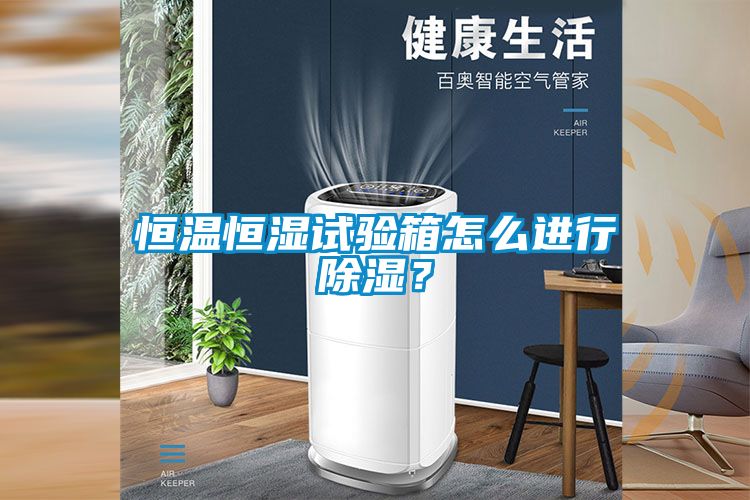 恒溫恒濕試驗箱怎么進行除濕？