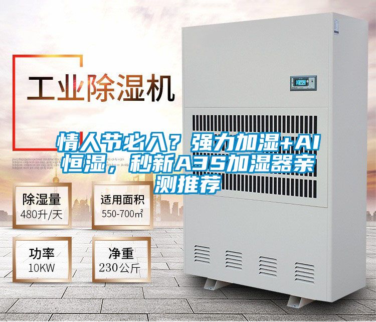 情人節(jié)必入？強(qiáng)力加濕+AI恒濕，秒新A3S加濕器親測推薦