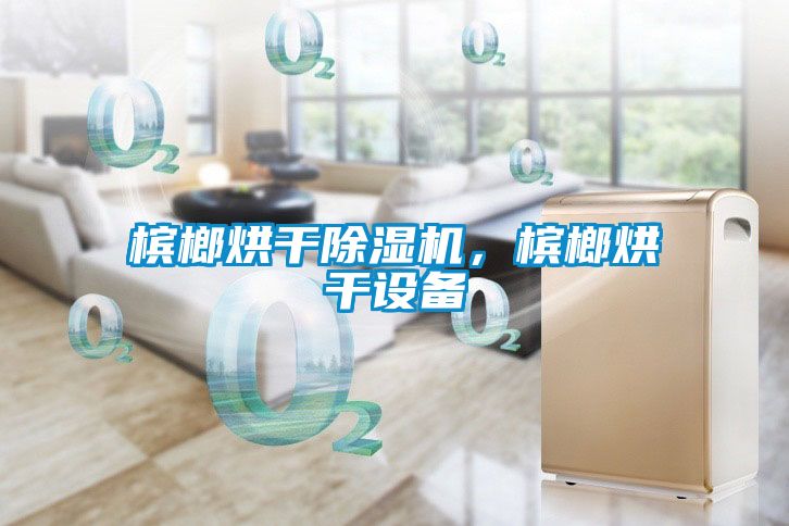 檳榔烘干除濕機，檳榔烘干設備