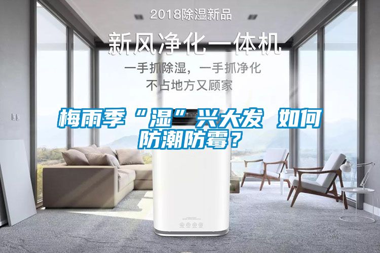 梅雨季“濕”興大發(fā) 如何防潮防霉？