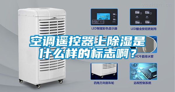 空調(diào)遙控器上除濕是什么樣的標(biāo)志?。?/></p>
						    <p style=