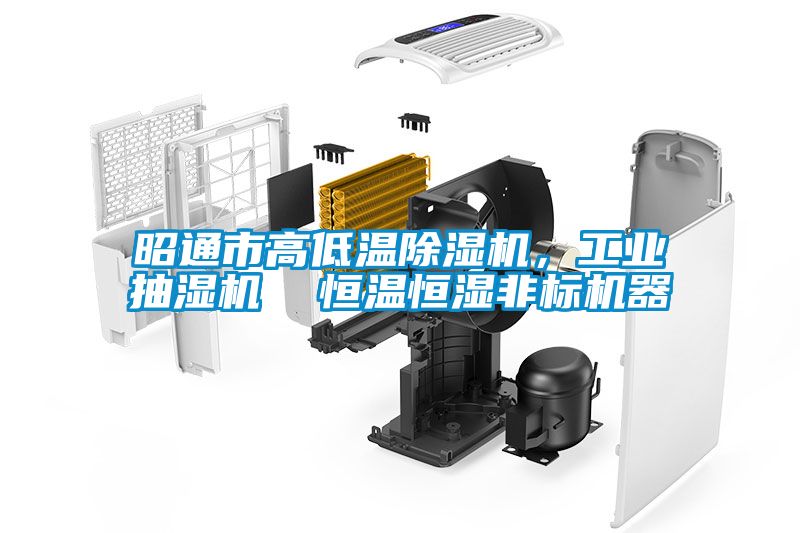 昭通市高低溫除濕機(jī)，工業(yè)抽濕機(jī)  恒溫恒濕非標(biāo)機(jī)器