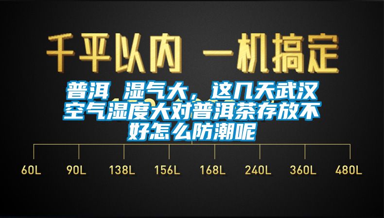 普洱 濕氣大，這幾天武漢空氣濕度大對普洱茶存放不好怎么防潮呢
