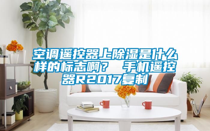 空調(diào)遙控器上除濕是什么樣的標(biāo)志??？ 手機(jī)遙控器R2017復(fù)制