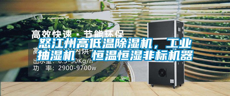 怒江州高低溫除濕機(jī)，工業(yè)抽濕機(jī)  恒溫恒濕非標(biāo)機(jī)器
