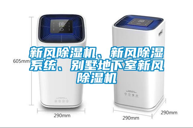 新風除濕機、新風除濕系統(tǒng)、別墅地下室新風除濕機