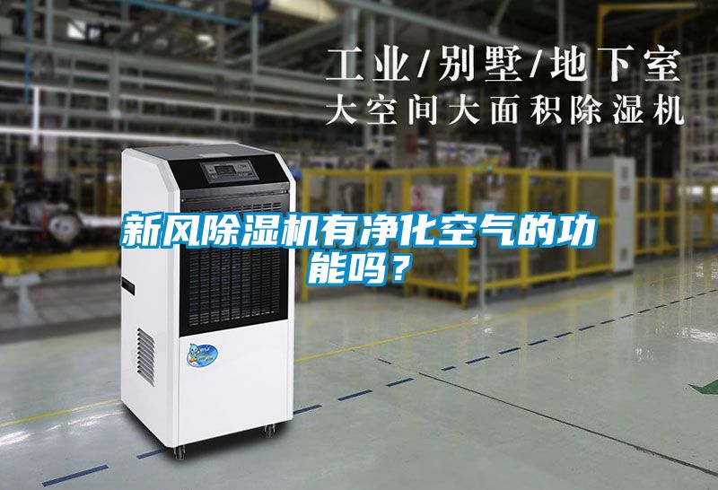新風(fēng)除濕機(jī)有凈化空氣的功能嗎？