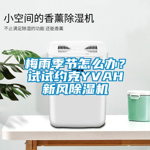 梅雨季節(jié)怎么辦？試試約克YVAH新風(fēng)除濕機(jī)