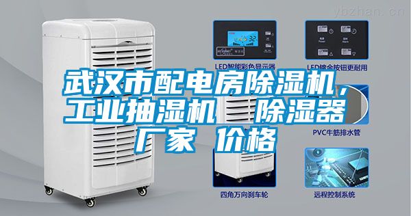 武漢市配電房除濕機(jī)，工業(yè)抽濕機(jī)  除濕器廠家 價(jià)格