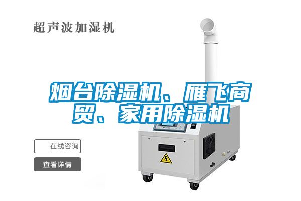 煙臺除濕機(jī)、雁飛商貿(mào)、家用除濕機(jī)