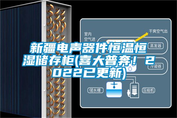 新疆電聲器件恒溫恒濕儲(chǔ)存柜(喜大普奔！2022已更新)