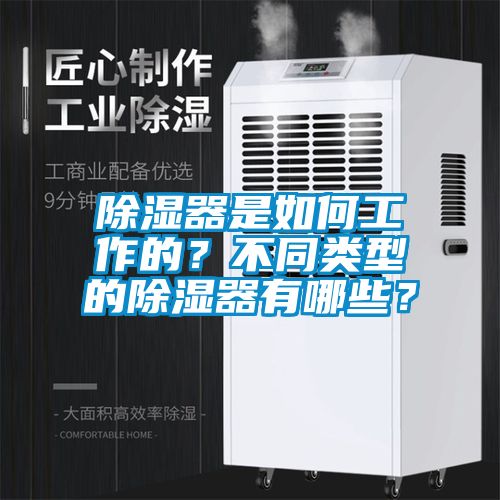 除濕器是如何工作的？不同類型的除濕器有哪些？
