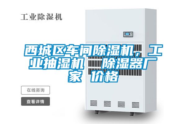 西城區(qū)車間除濕機(jī)，工業(yè)抽濕機(jī)  除濕器廠家 價(jià)格