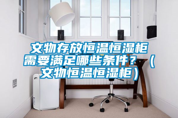 文物存放恒溫恒濕柜需要滿足哪些條件？（文物恒溫恒濕柜）