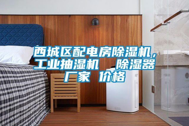 西城區(qū)配電房除濕機，工業(yè)抽濕機  除濕器廠家 價格