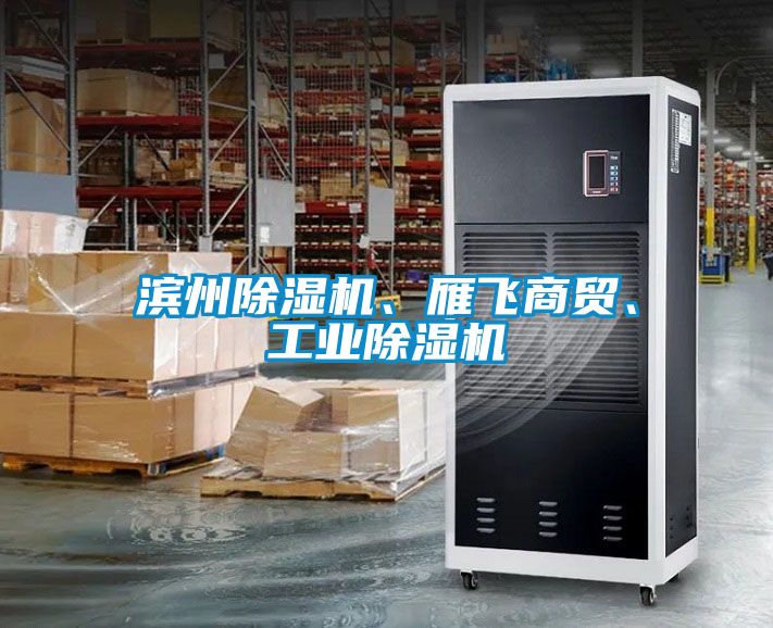 濱州除濕機(jī)、雁飛商貿(mào)、工業(yè)除濕機(jī)