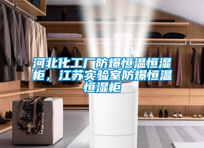 河北化工廠防爆恒溫恒濕柜，江蘇實驗室防爆恒溫恒濕柜