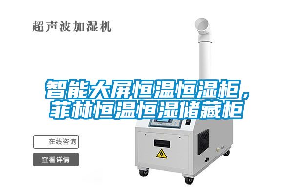 智能大屏恒溫恒濕柜，菲林恒溫恒濕儲(chǔ)藏柜