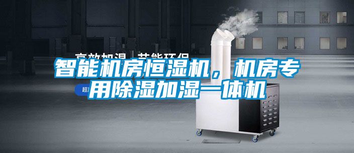 智能機房恒濕機，機房專用除濕加濕一體機