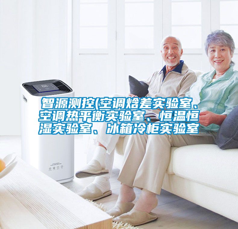智源測(cè)控(空調(diào)焓差實(shí)驗(yàn)室、空調(diào)熱平衡實(shí)驗(yàn)室、恒溫恒濕實(shí)驗(yàn)室、冰箱冷柜實(shí)驗(yàn)室