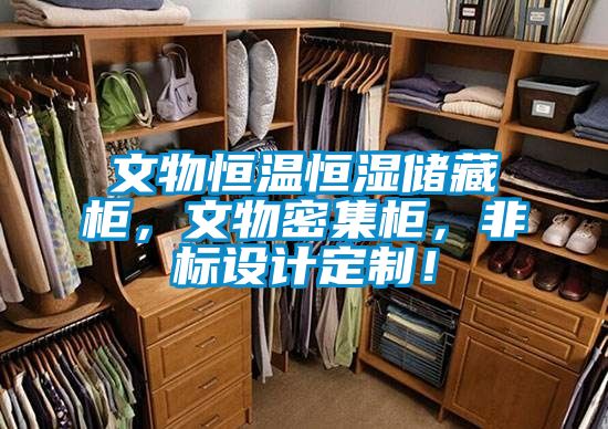文物恒溫恒濕儲藏柜，文物密集柜，非標(biāo)設(shè)計定制！