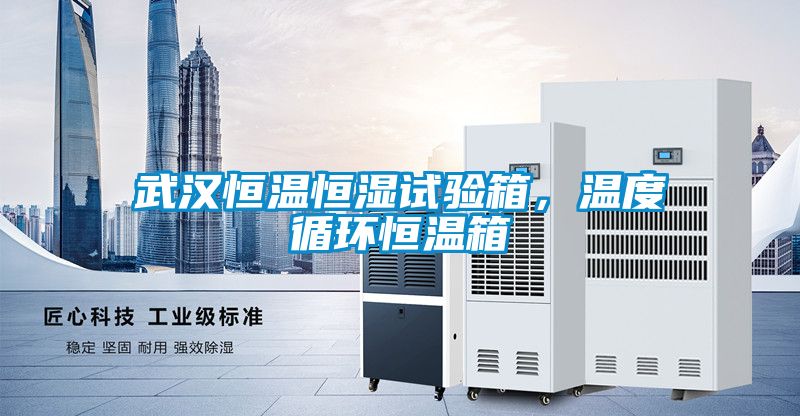 武漢恒溫恒濕試驗(yàn)箱，溫度循環(huán)恒溫箱