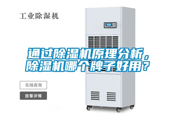 通過除濕機原理分析，除濕機哪個牌子好用？