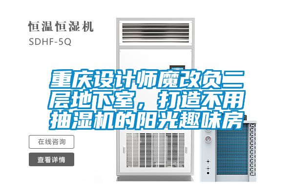 重慶設(shè)計(jì)師魔改負(fù)二層地下室，打造不用抽濕機(jī)的陽(yáng)光趣味房