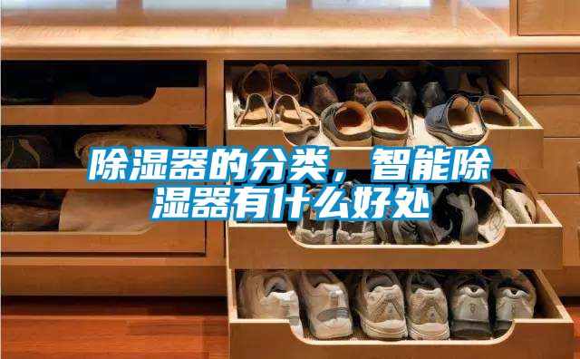 除濕器的分類，智能除濕器有什么好處