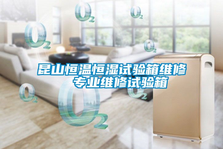 昆山恒溫恒濕試驗(yàn)箱維修  專業(yè)維修試驗(yàn)箱